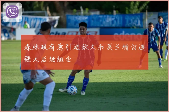 森林狼有意引进欧文和莫兰特打造强大后场组合