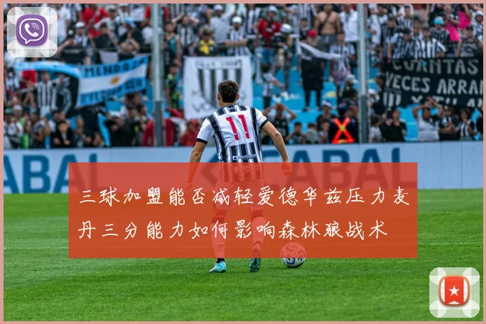 三球加盟能否减轻爱德华兹压力麦丹三分能力如何影响森林狼战术